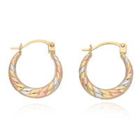 9K Gold Earrings