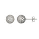Zircon Silver Earrings (Adela Silber)