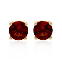 9K Madeira Citrine Gold Earrings