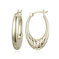 Zircon Silver Earrings
