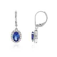 14K AAA Tanzanite Gold Earrings (CIRARI)