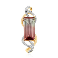 14K Bi Colour Tourmaline Gold Pendant (AMAYANI)