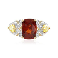 14K Spessartite Gold Ring (SUHANA)