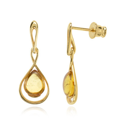Baltic Amber Silver Earrings (dagen)