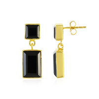 Black Onyx Silver Earrings