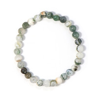 Tree Jasper other Bracelet