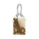 Dinosaur Bone Silver Pendant