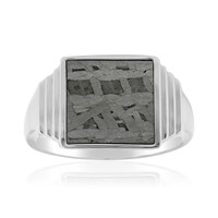 Aletai-Meteorite Silver Ring