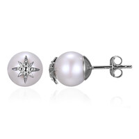 Freshwater pearl Silver Earrings