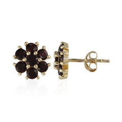 Garnet Silver Earrings