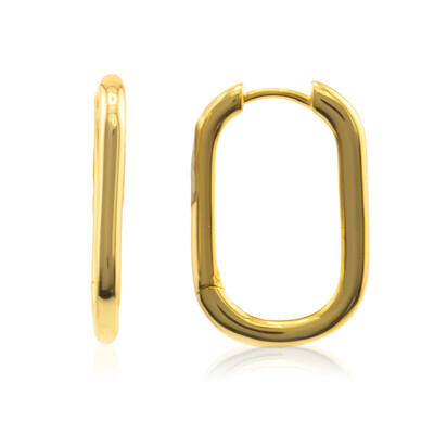 Silver Earrings (Joias do Paraíso)