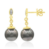 9K Tahitian Pearl Gold Earrings (TPC)