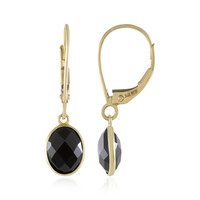 9K Black Spinel Gold Earrings