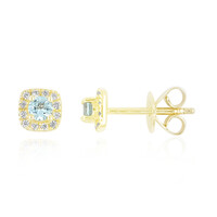 9K Nigerian Paraiba Tourmaline Gold Earrings