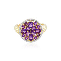 Zambian Amethyst Silver Ring