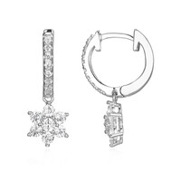 Zircon Silver Earrings