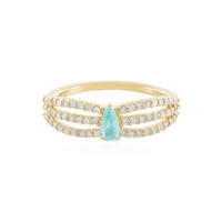 14K Brazilian Paraiba Tourmaline Gold Ring (AMAYANI)