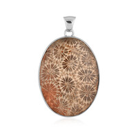 Petrified Coral Silver Pendant (Bali Barong)