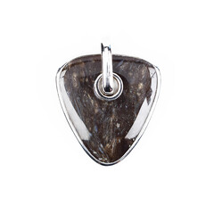 Petrified Wood Silver Pendant