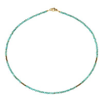 Arizona Turquoise Silver Necklace (Riya)
