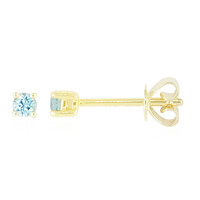 9K Nigerian Paraiba Tourmaline Gold Earrings