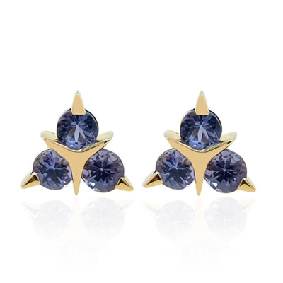 9K Tanzanite Gold Earrings (de Melo)