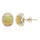 14K AAA Welo Opal Gold Earrings (CIRARI)