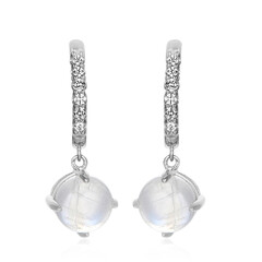 Tanzanian Rainbow Moonstone Silver Earrings