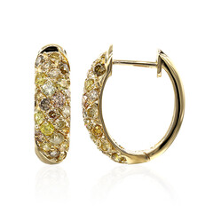 14K SI2 Fancy Diamond Gold Earrings (CIRARI)