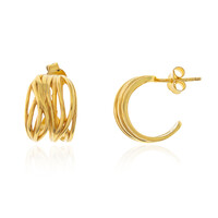 Silver Earrings (Joias do Paraíso)