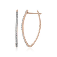 Zircon Silver Earrings