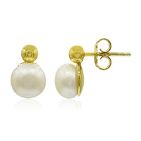 Freshwater pearl Silver Earrings (TPC)