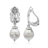 Freshwater pearl Silver ear clips (TPC)