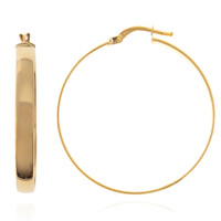 9K Gold Earrings