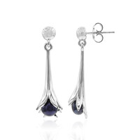 Freshwater pearl Silver Earrings (TPC)