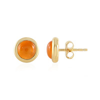 Carnelian Silver Earrings