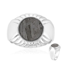 Aletai-Meteorite Silver Ring
