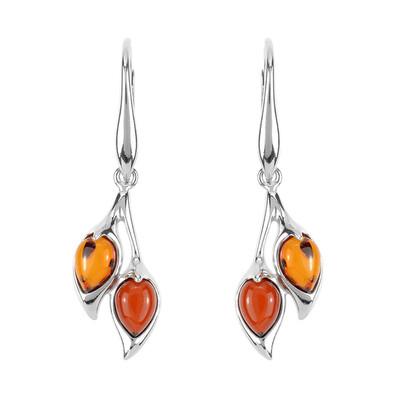 Baltic Amber Silver Earrings (dagen)
