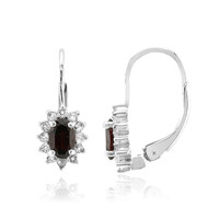 Garnet Silver Earrings