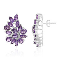 Amethyst Silver Earrings