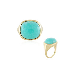 Amazonite Silver Ring
