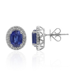 14K Kyanite Gold Earrings (CIRARI)