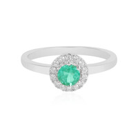 Colombian Emerald Silver Ring