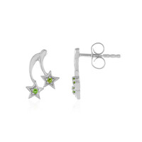 Russian Diopside Silver Earrings