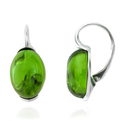 Colombian green Amber Silver Earrings (dagen)