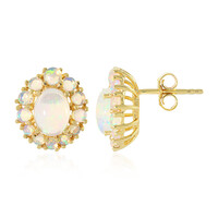 Welo Opal Silver Earrings