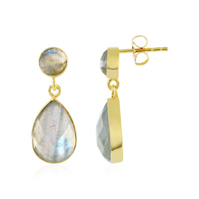 Labradorite Silver Earrings