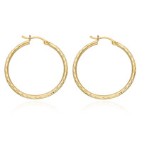 9K Gold Earrings