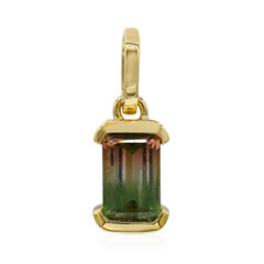 9K Bi Colour Tourmaline Gold Pendant