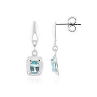 Blue Apatite Silver Earrings